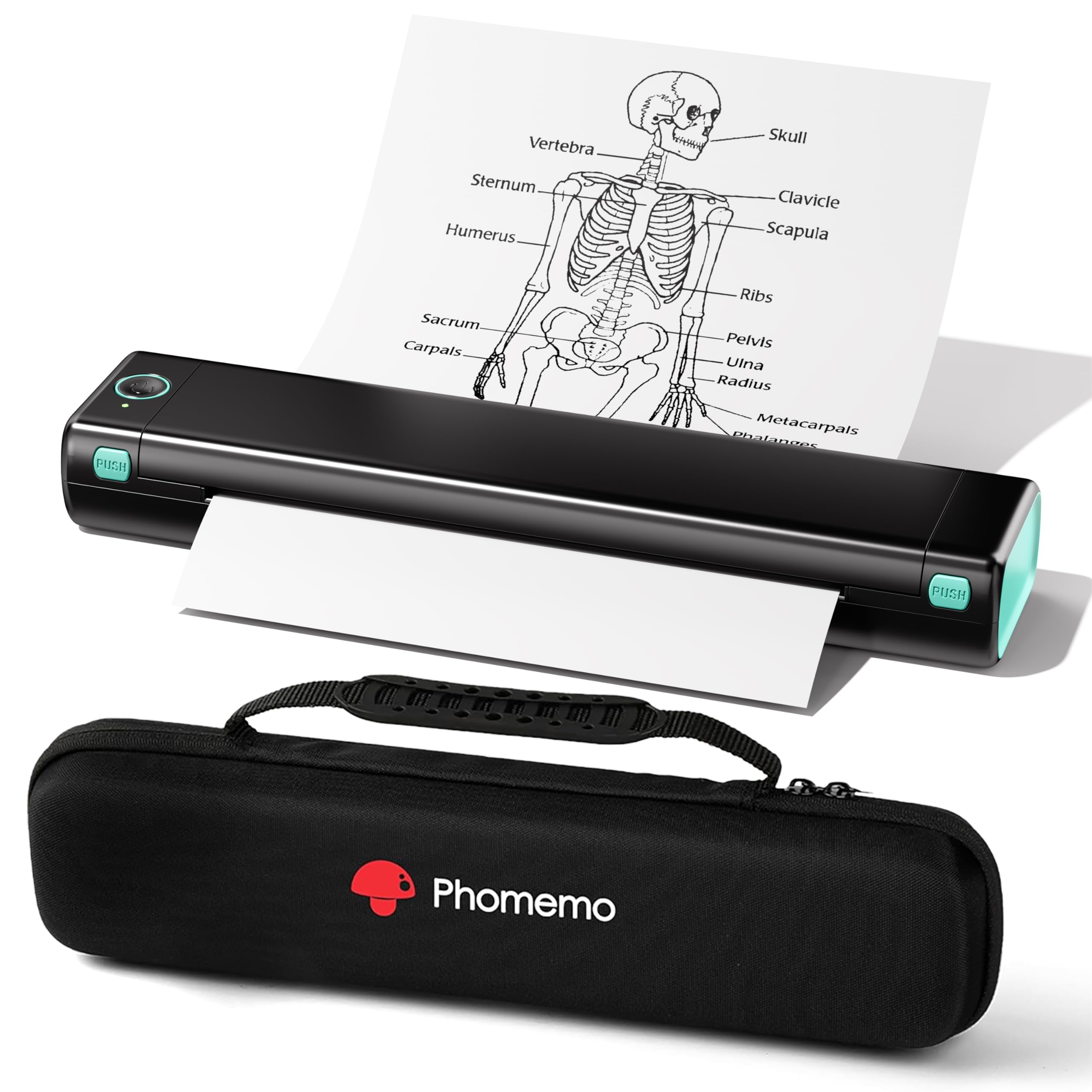 Phomemo Portable Printers Wireless for Travel, M08F Thermal Bluetooth Printer Support for 8.5"x11" US Letter, Small Inkless Printer Compatible with iOS, Android, Laptop for Car, Office, Home